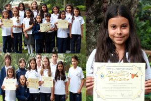 Img_abeja_de_oro copiar Img_abeja_de_oro copiar