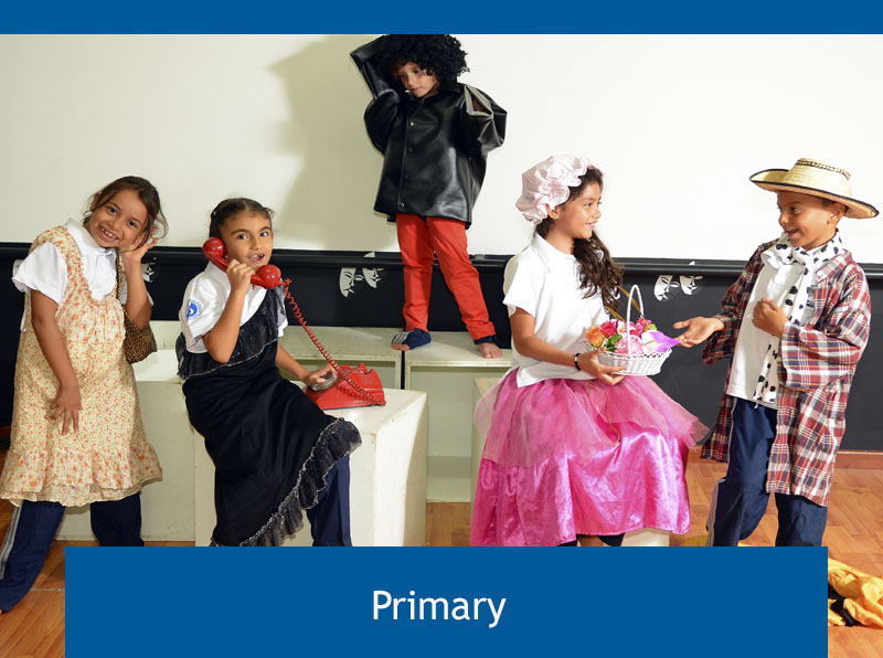Img_primary Img_primary