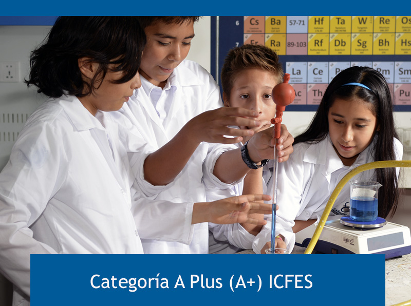 Img_categoria_icfes Img_categoria_icfes