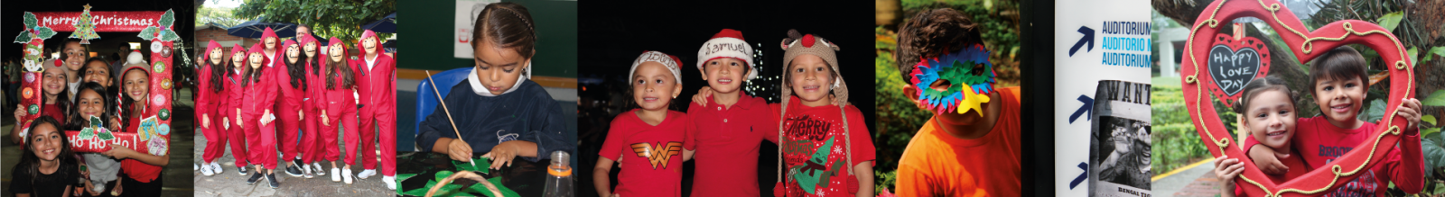 Img_banner_galeria Img_banner_galeria