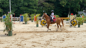 Emilio-sanchez-equitacion Emilio-sanchez-equitacion