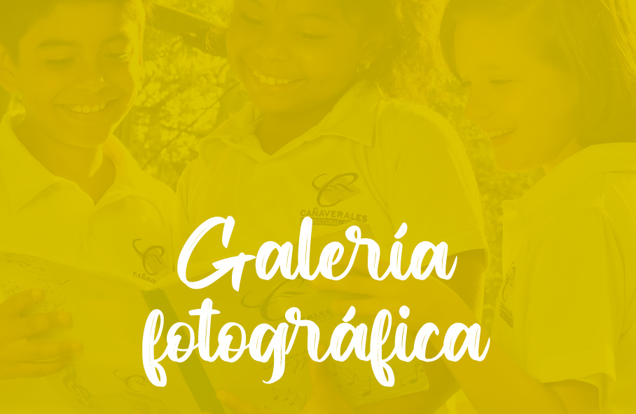 canaverales_galeriamoviles canaverales_galeriamoviles