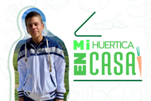 mi-huertica-en-casa