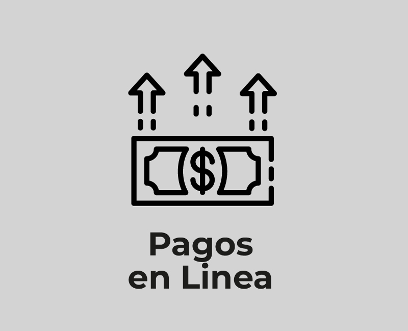 pagos-en-lines